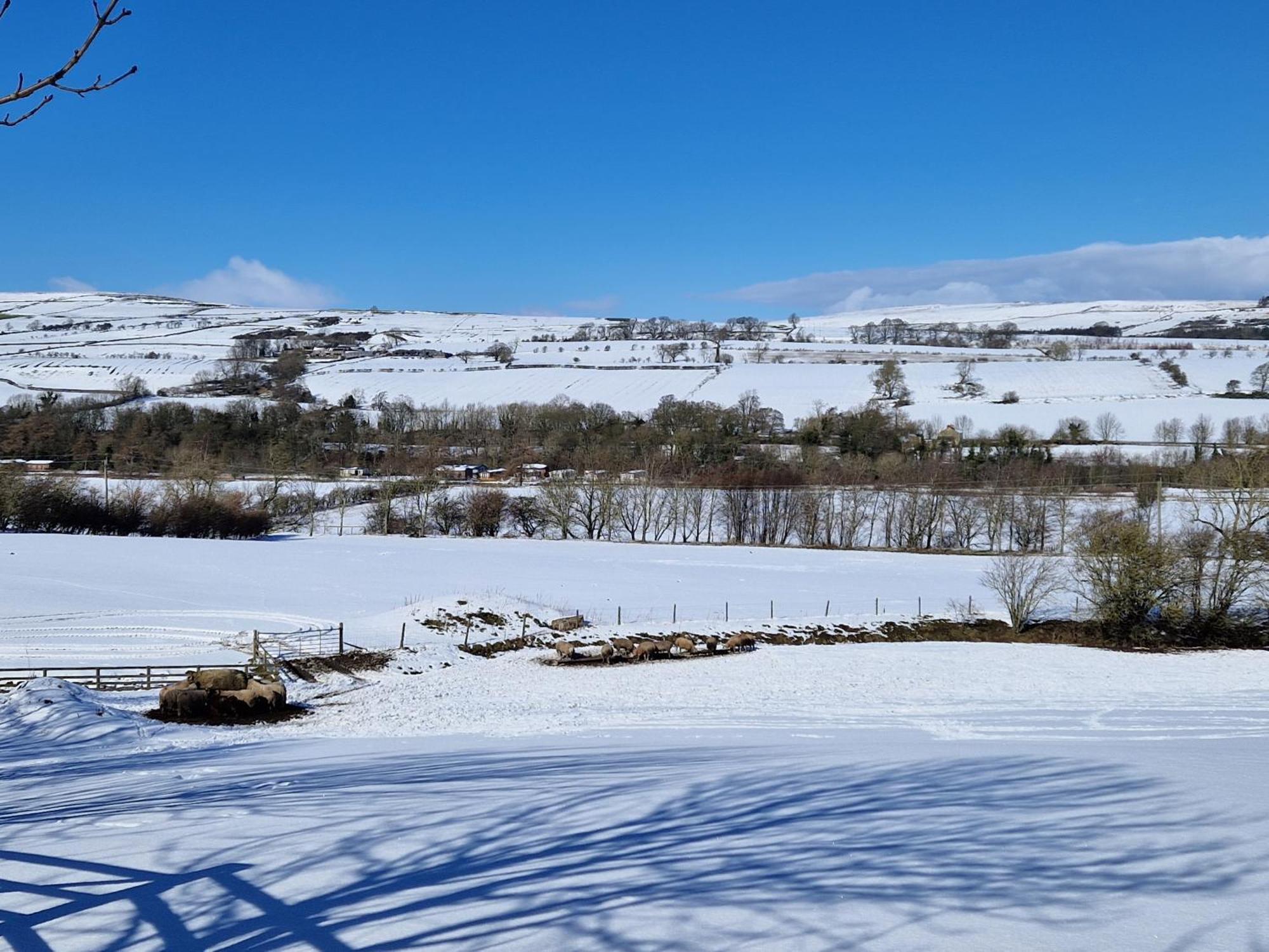 The Den, Coves House Villa Wolsingham Luaran gambar